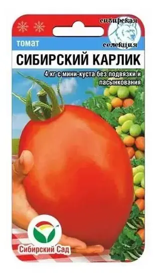 Томат Сибирский карлик, 20шт., Сибирский Сад