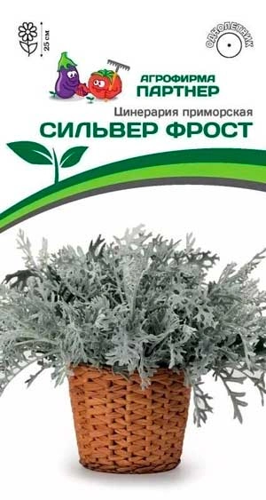 ЦИНЕРАРИЯ СИЛЬВЕР ФРОСТ 15 шт. Партнер